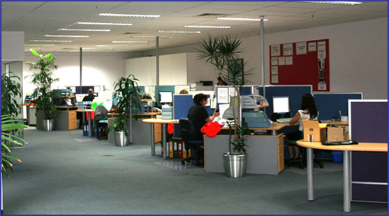 All Interactive Inside Head Office
